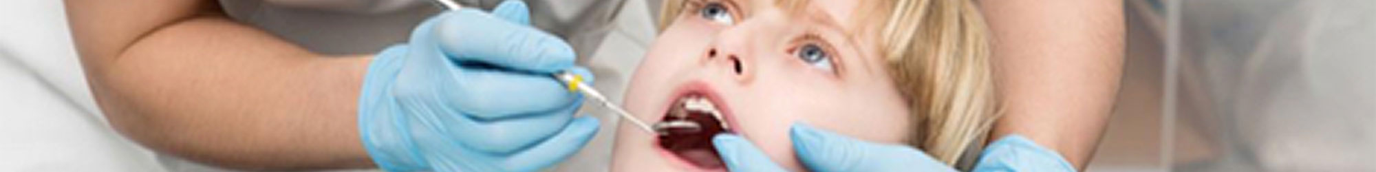 Affordable Dental Insurance in Wisconsin